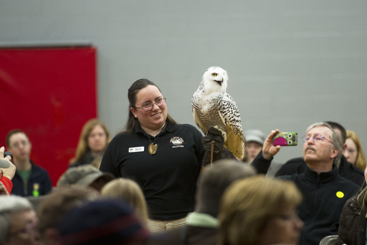 Festival of Owls 04